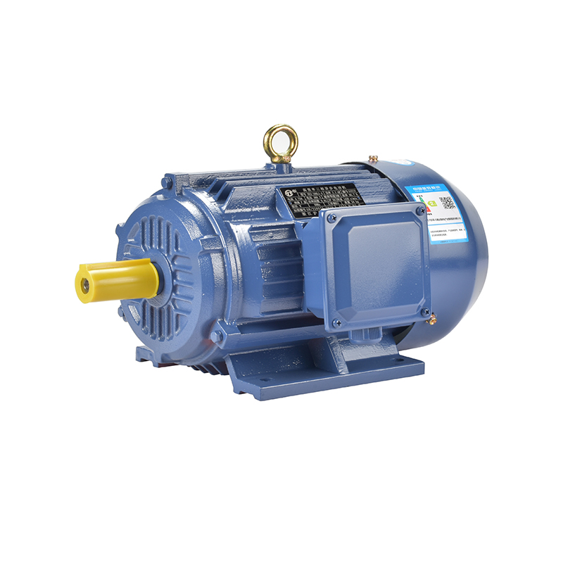 YE5 Ultra Efficient Three-Phase Asynchronous Motor
